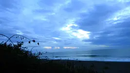 DSCN5198.webp