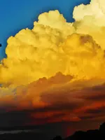 FSCN9287.webp