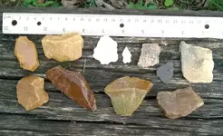WP_20140929_001.webp WP_20140929_001.webp