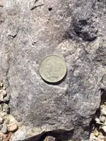 photo 1.webp