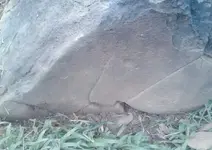20140918_205354-1.webp