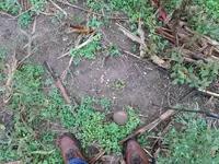 #87 in situ resized.webp #87 in situ resized.webp