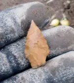 #87 in hand resized.webp #87 in hand resized.webp