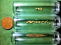 our gold.webp our gold.webp
