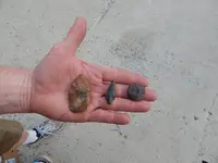 DSCN0308.webp
