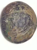 image.webp