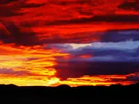FSCN7126.webp