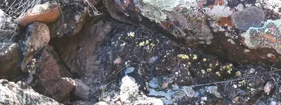 Untitled.webp