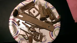 IMAG0633.webp