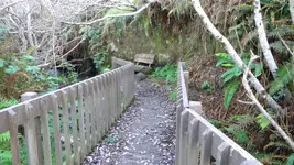DSCN5909.webp