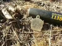 dog tag.webp