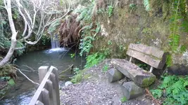 DSCN5913.webp