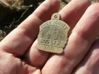 dog tag 2.webp