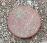 DSCN1225.webp