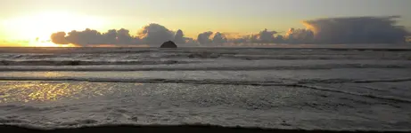 DSCN5879.webp