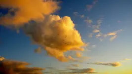 DSCN5884.webp