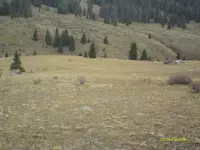 IMAG0187.webp