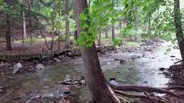 Mill1-e.webp Mill1-e.webp