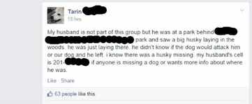 Dog1.webp