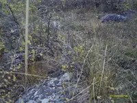 IMAG0148.webp