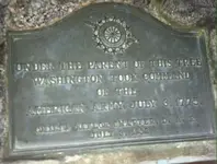 image.webp