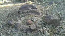 VIDEO0166_٠٠٠٠٠٠٠٠٠٠.webp
