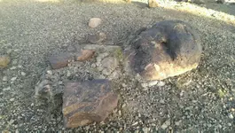 VIDEO0166_٠٠٠٠٠٠٧٠٦٧.webp