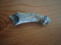 DSC00117.webp