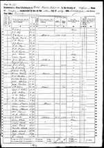1860 census records George Osteen and son.webp