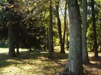 DSCF0001.webp