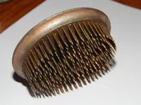 DSCN6883.webp