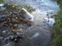 el2014 028.webp