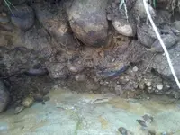 el2014 030.webp