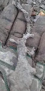 1387052237456.webp