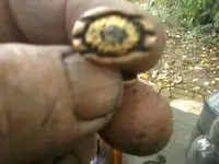 140930_007.webp