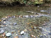 image-291120180.webp