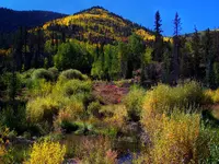 Egnar trip 3.webp