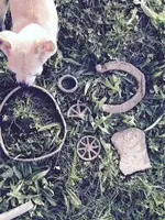 horseshoe.webp