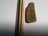 image-4136615440.webp