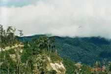hidden valley 2.webp