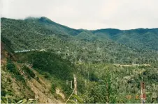 hidden valley.webp