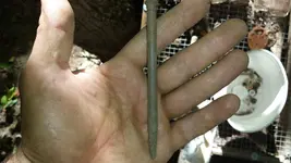 Old pen.webp Old pen.webp