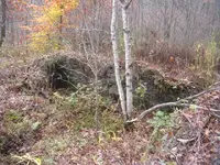 006.webp