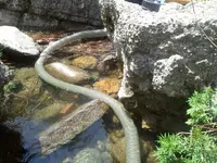 006.webp