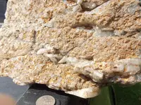 From rock collection Sep 27 2014 046.webp