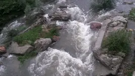 papiphone 034.webp