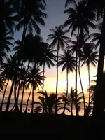 image-71958772.webp