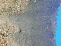 DSCN0084.webp