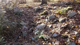 DSCF1376.webp