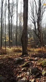 DSCF1377.webp
